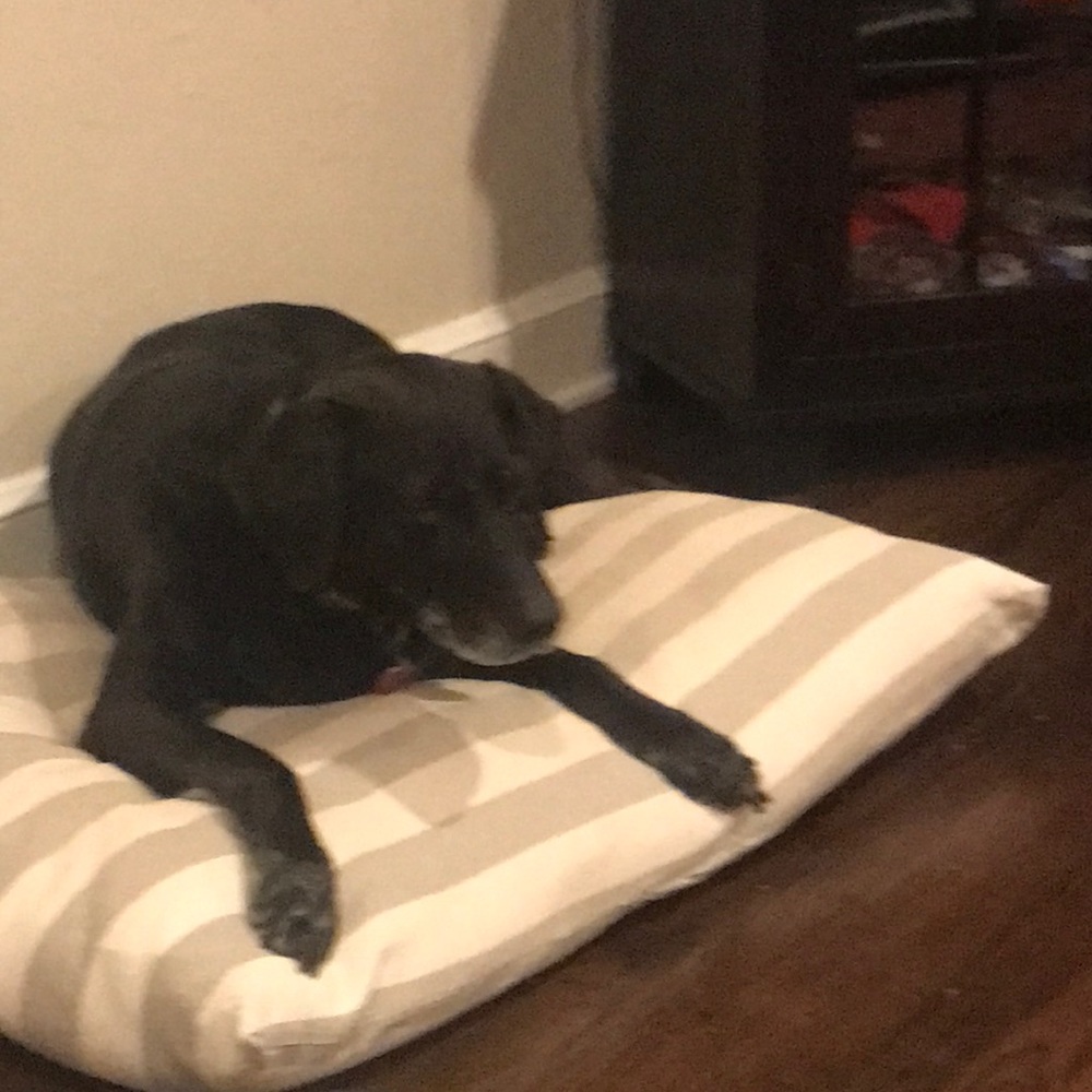 Meet your Posher, Mary jane